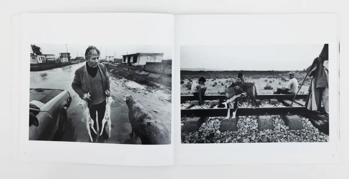 Older man on a flooded street with two white dogs; car and ruined houses. Right: two men with a donkey by rocky railroad tracks in an arid landscape.