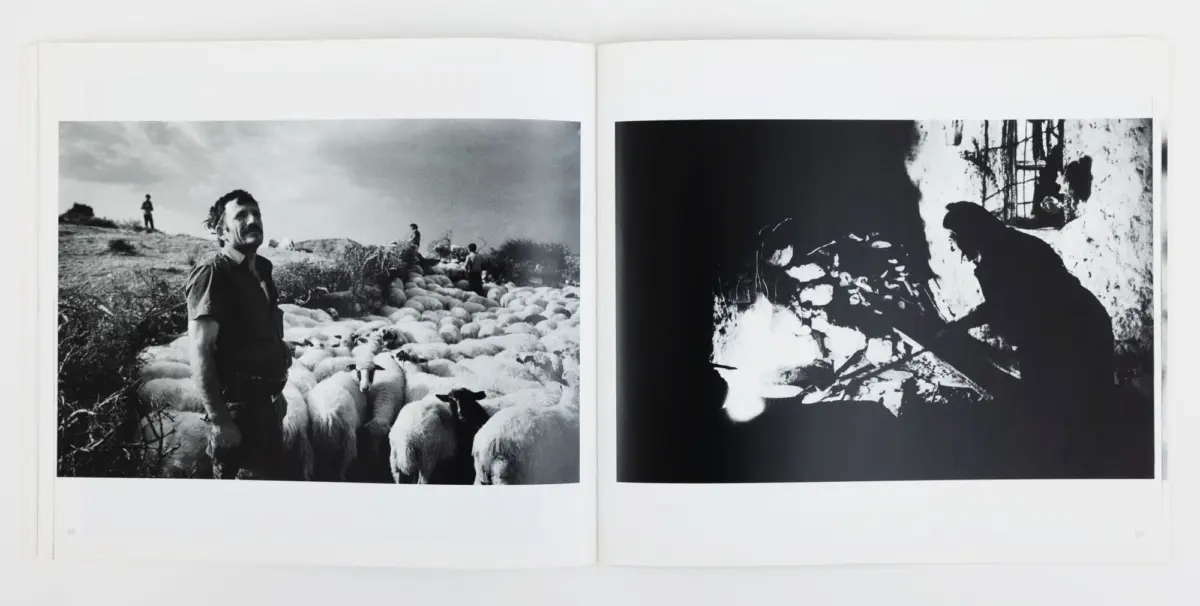 Left: adult man among a dense flock of sheep on a hillside; right: silhouette crouching amid rubble beside a wall.