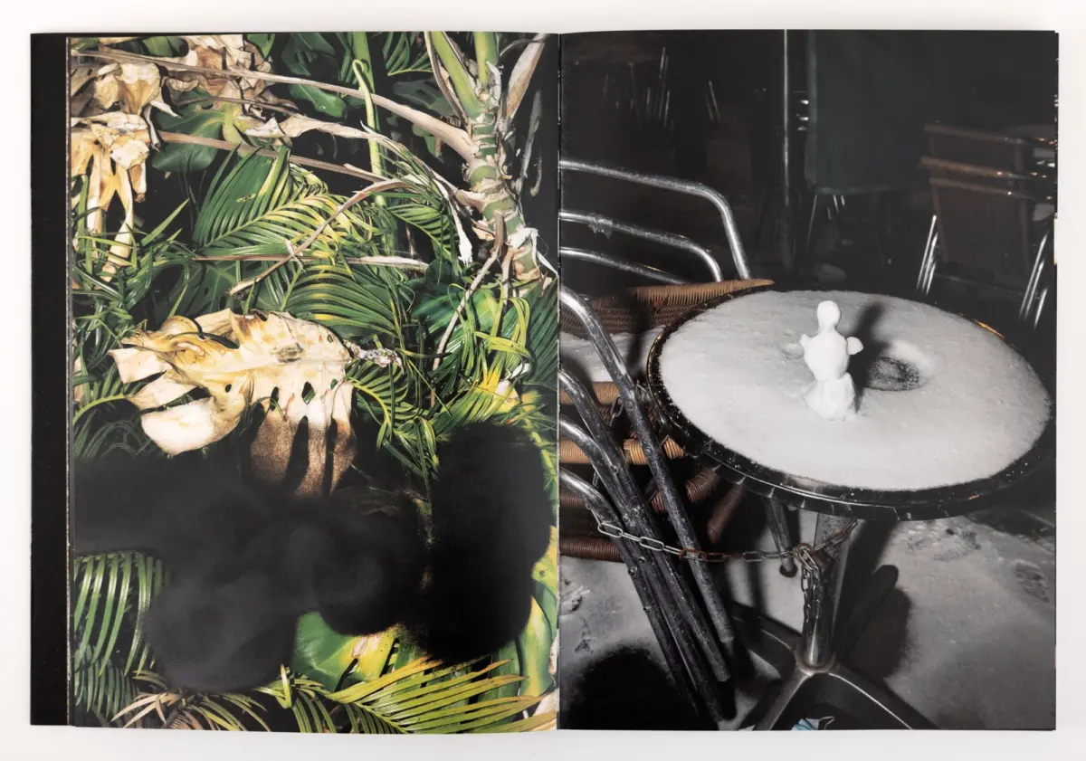 Split-page image: dense tropical foliage on the left; snow-covered round tub with a small snowman on the right.