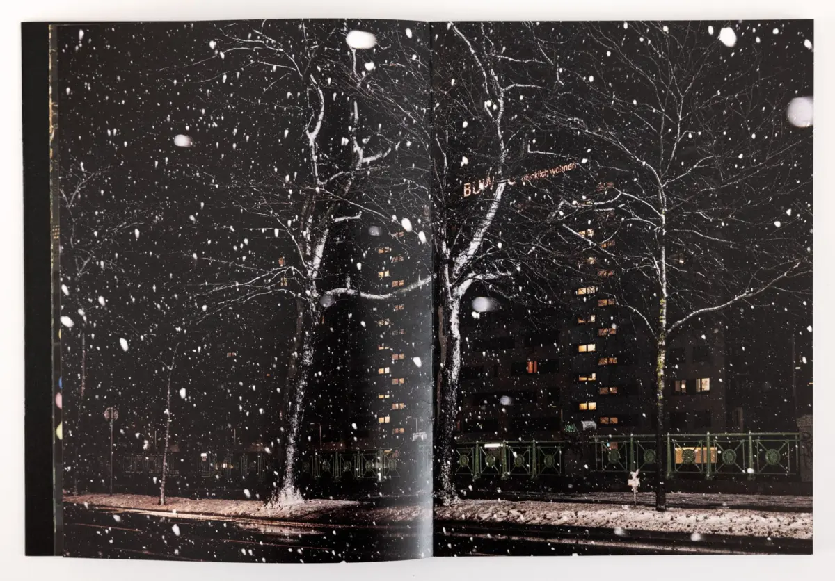 Nighttime urban street scene with falling snow, bare trees in foreground, and a dark building with lit windows.