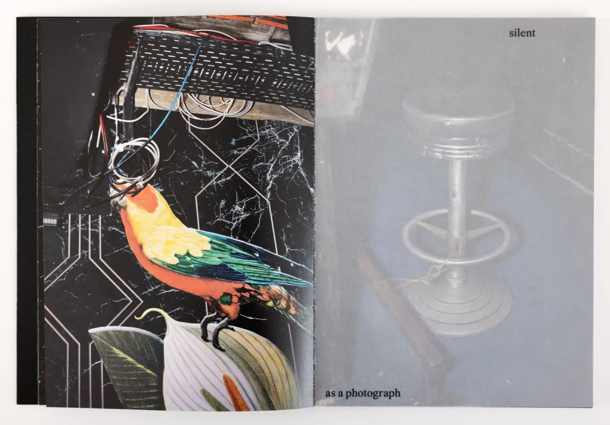 Colorful macaw perched on a stand among tangled cables and equipment in a two-page magazine spread; text 'silent' appears on the right.