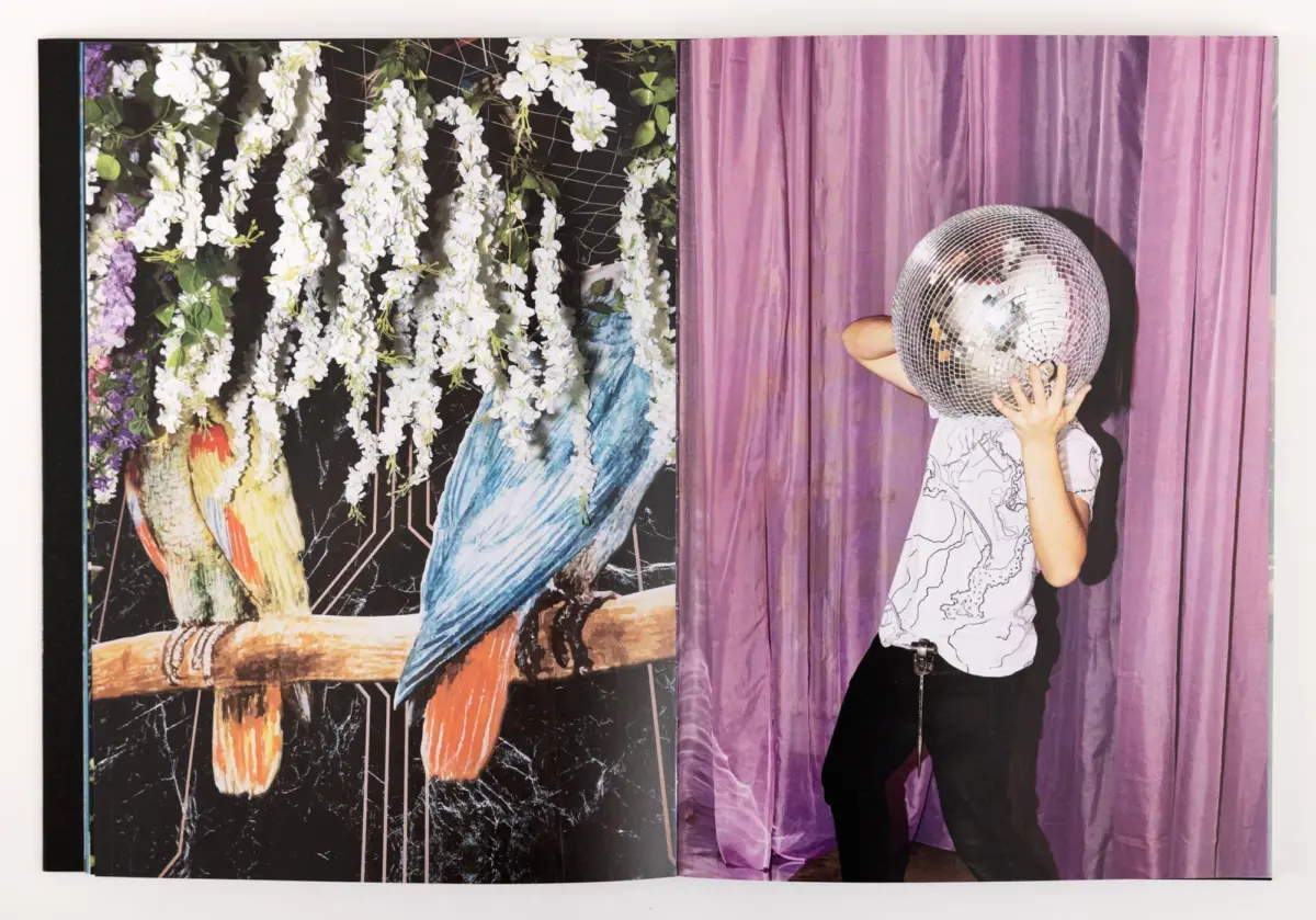 Person wearing a mirrored disco-ball helmet holds a disco ball in front of a purple curtain; left page shows white flowering vines and a blue parrot.