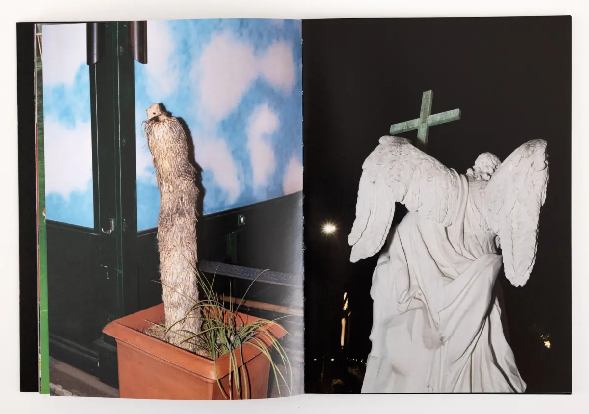 Stone angel statue with outstretched wings and a cross against a dark backdrop; potted plant and blue sky window scene on left.