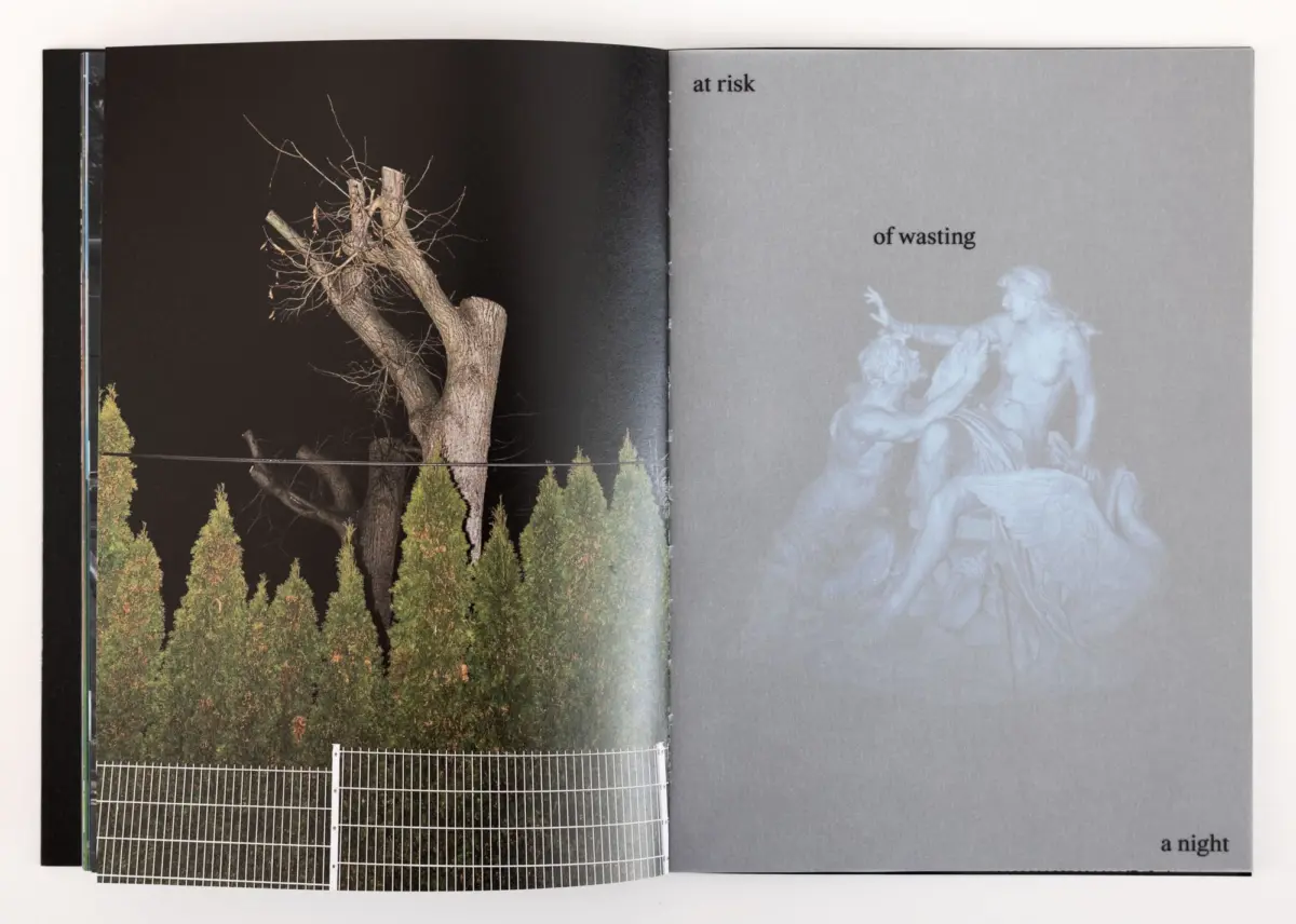 Night outdoor scene: a large bare-branched tree with evergreen shrubs and a metal grid fence; text reads 'at risk of wasting'.