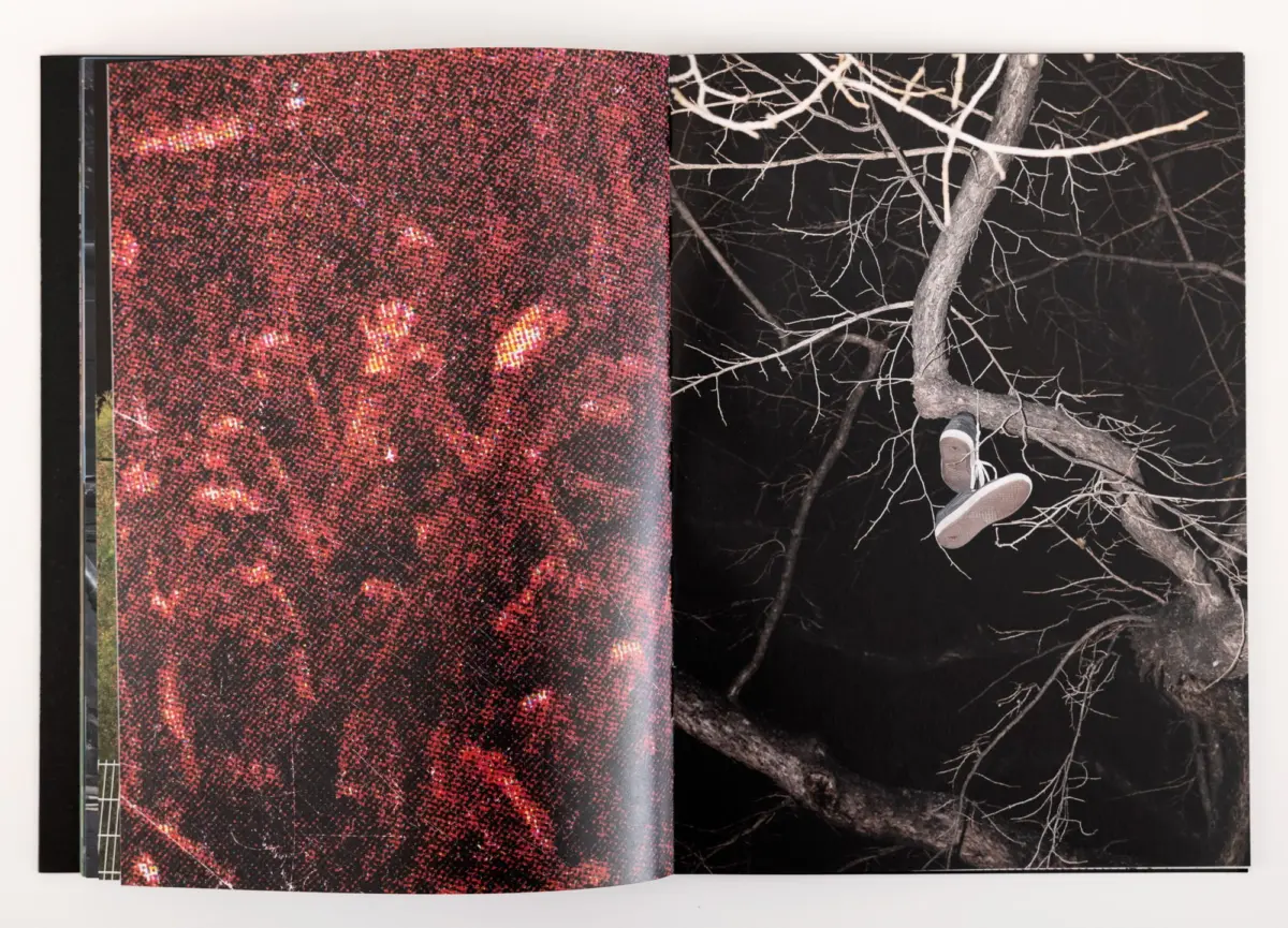 Open book spread; left page shows red speckled texture, right page features bare tree branches and sneakers hanging from a branch.