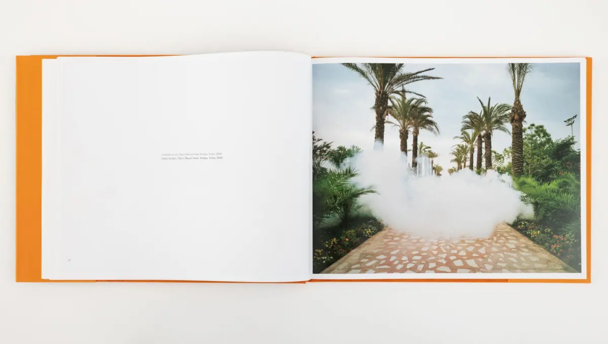 Open photo book showing a tropical garden with palm trees along a stone path and mist.