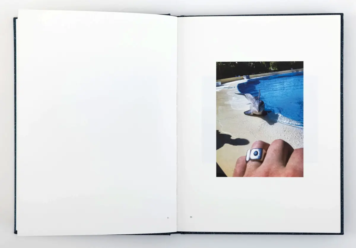 Dolphin beside a blue swimming pool, photographed on a page inside an open book.