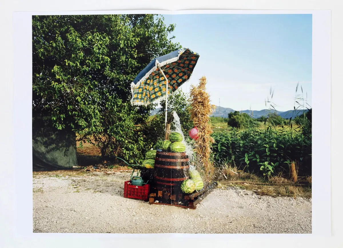 Roadside fruit stand with a wooden barrel stacked with watermelons under a patterned umbrella, in a rural field with distant mountains.