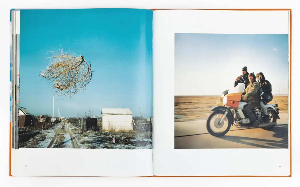 Left: snow-covered rural scene with a ball-shaped tangle of bare branches above a railroad; right: three riders on a motorcycle in a flat winter landscape.