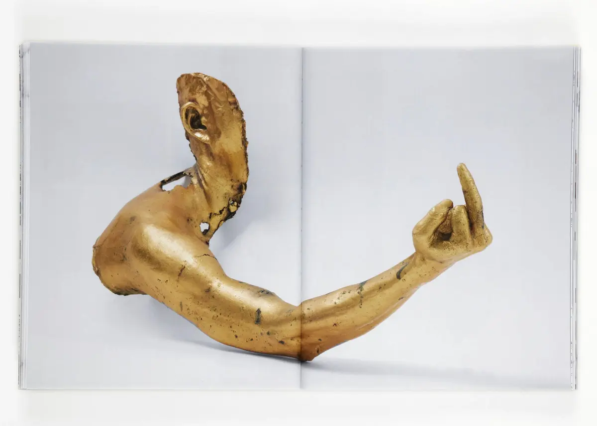 Golden arm sculpture with middle finger raised on white pages of an open book.