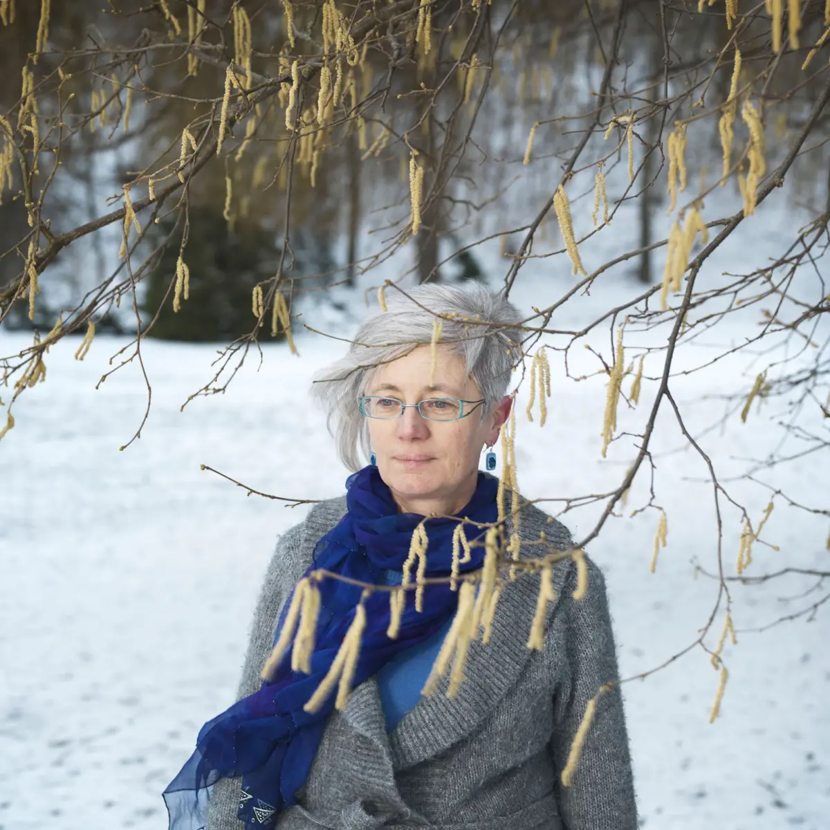 Older woman with gray hair and glasses wearing a blue scarf and gray sweater in a snowy landscape, foregrounded by yellow catkins.