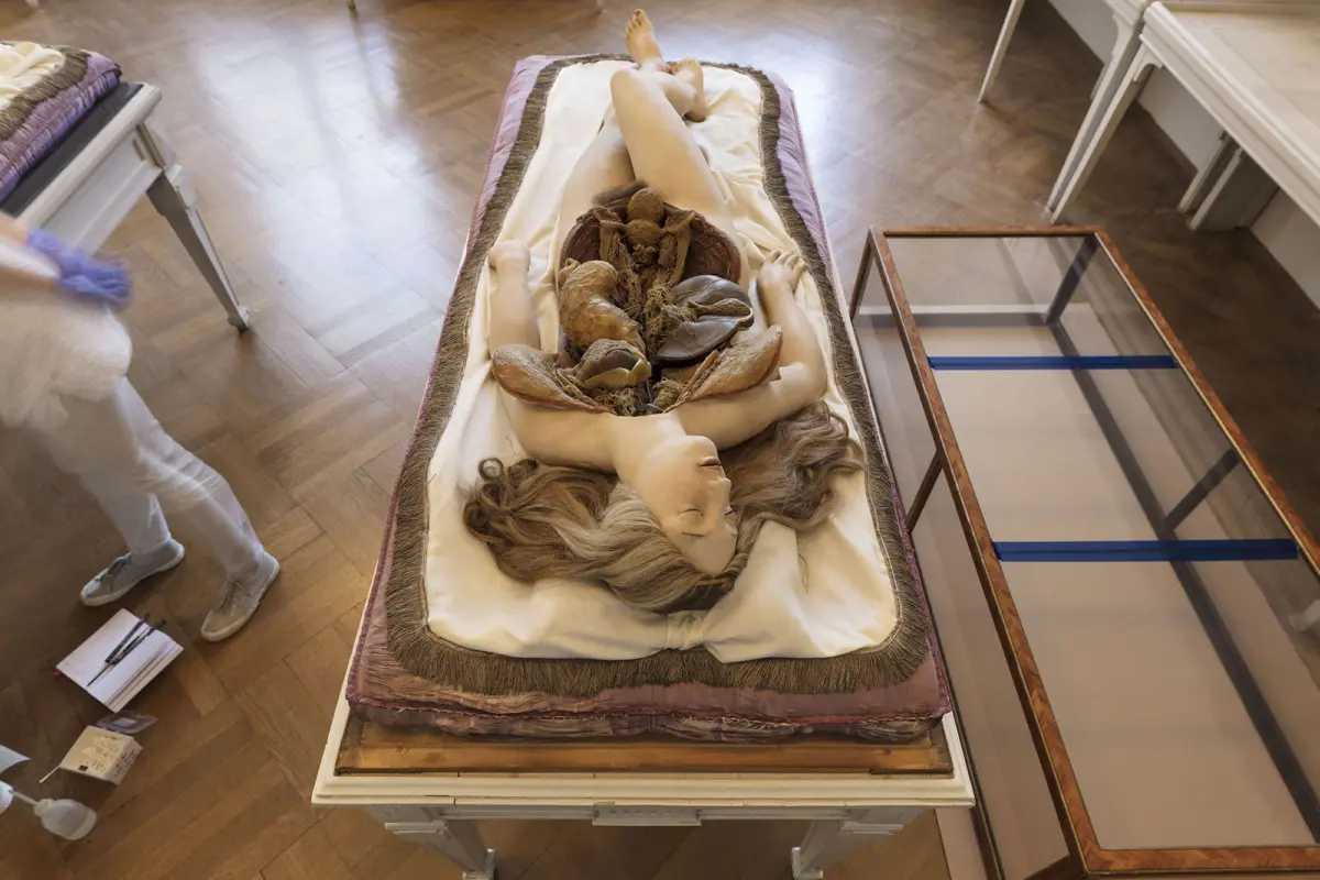 Life-size reclining nude sculpture on a padded bier in a gallery; a person in white with purple gloves stands nearby; glass display case to the right.