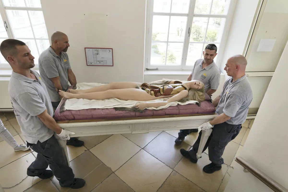 Medical training mannequin with exposed organs on a bed, moved by four workers in gray uniforms in a bright clinic room.