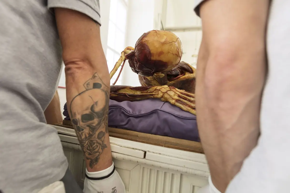Human cadaver with exposed musculature lying on an anatomy-lab table, flanked by two observers.