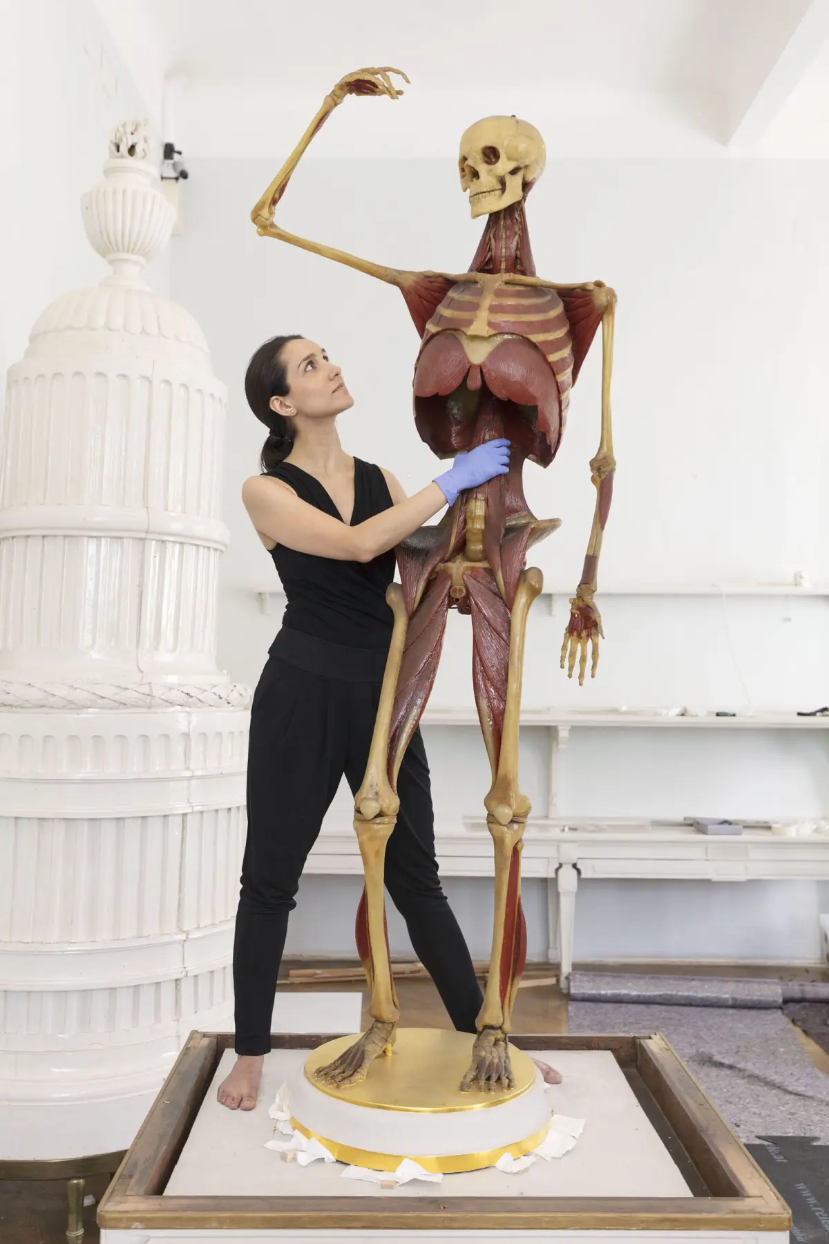 Person in black examines a life-size anatomical skeleton, touching its chest as the skeleton raises an arm in a bright museum display.