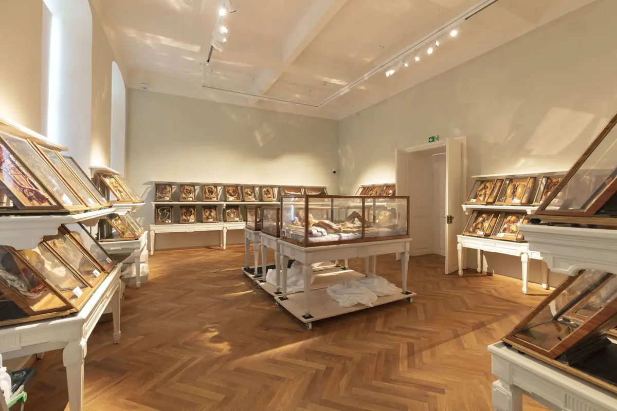 Framed portraits on slanted shelves and a glass display case in a museum gallery with a wooden parquet floor.