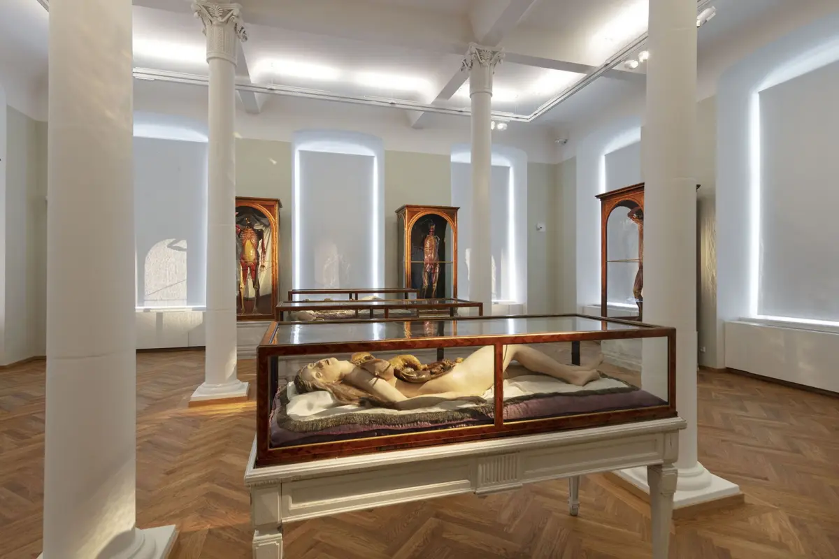 Reclining nude figure inside a glass display case in a museum gallery with white columns and parquet flooring.