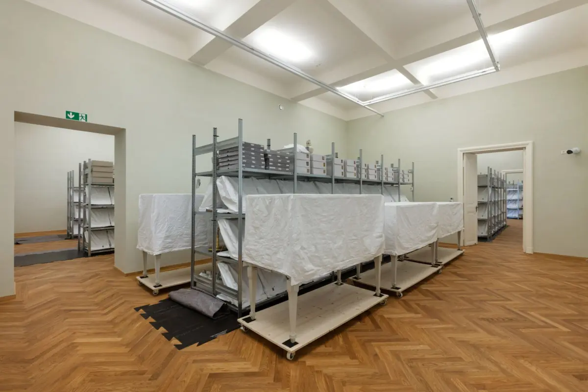 Storage room with metal shelving units on casters, stacked cardboard boxes and wrapped items; pale green walls, parquet floor.