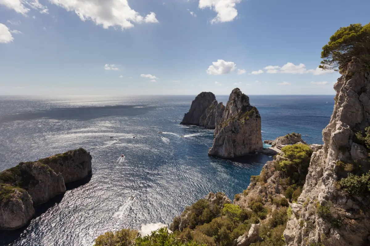 Rocky coastline with sea stacks and cliffs, pine trees on the right, and a blue ocean under a clear sky.