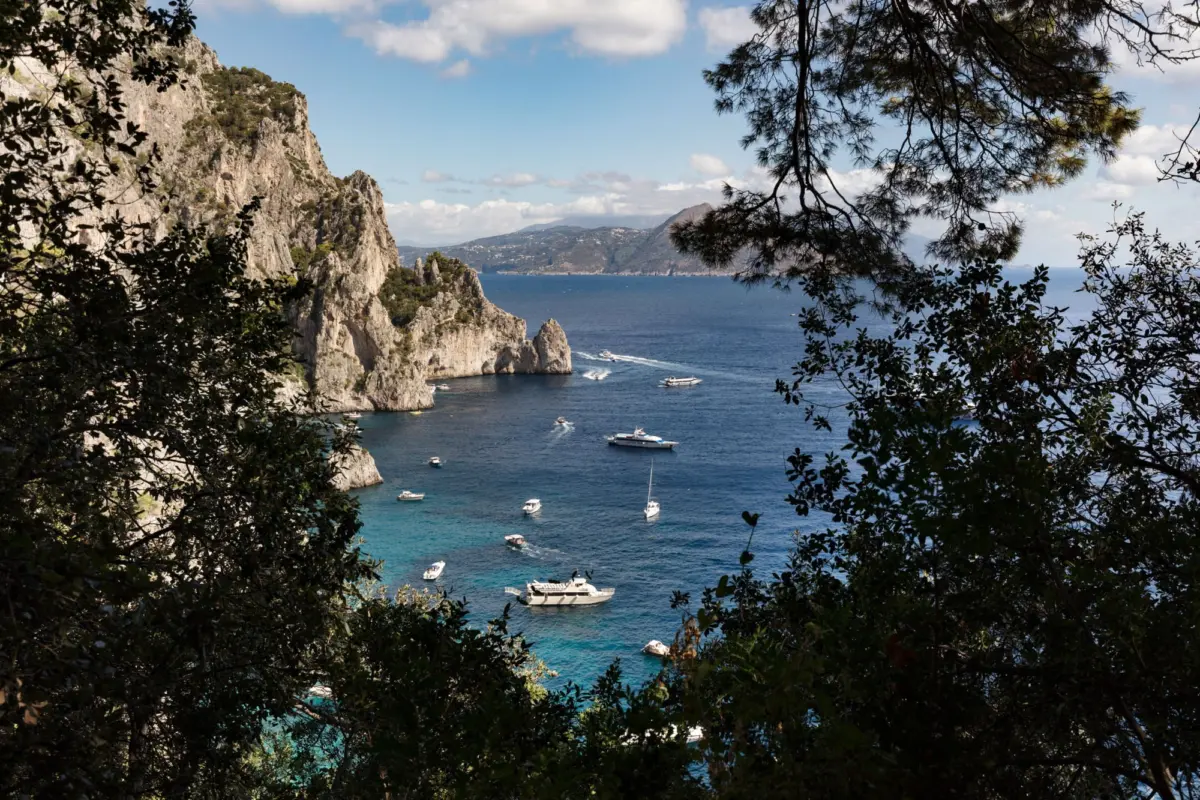 Rocky coastal cliffs with a blue sea and several small boats, framed by tree branches.