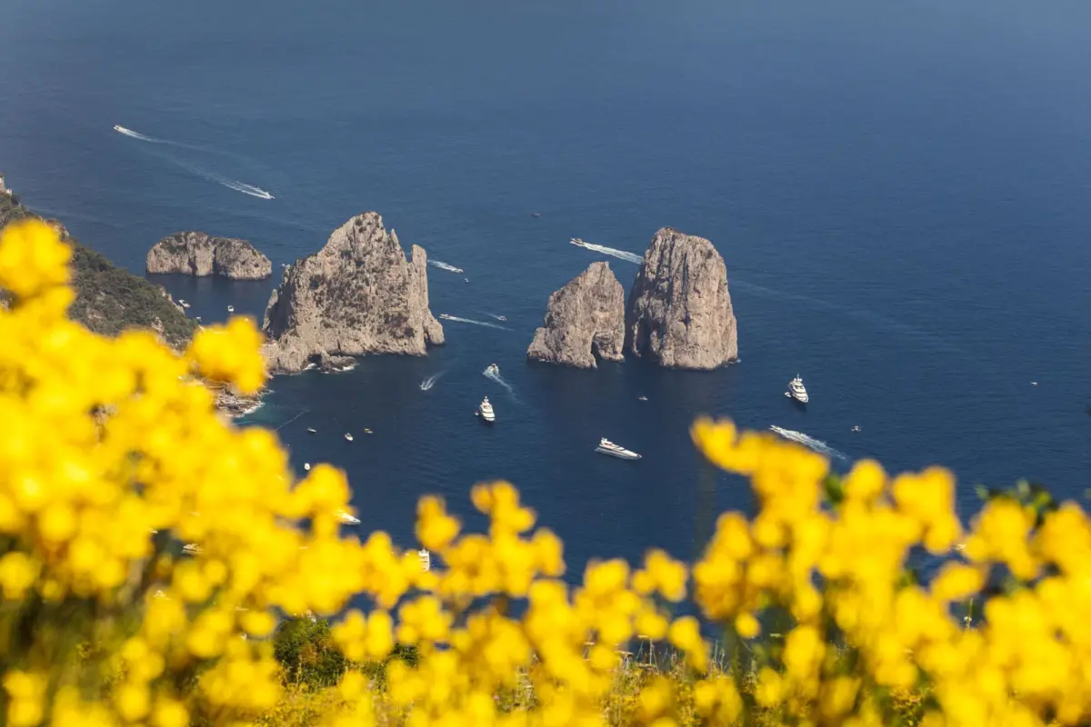 Rocky sea stacks rise from blue water; several motorboats leave white wakes, framed by foreground yellow flowers.