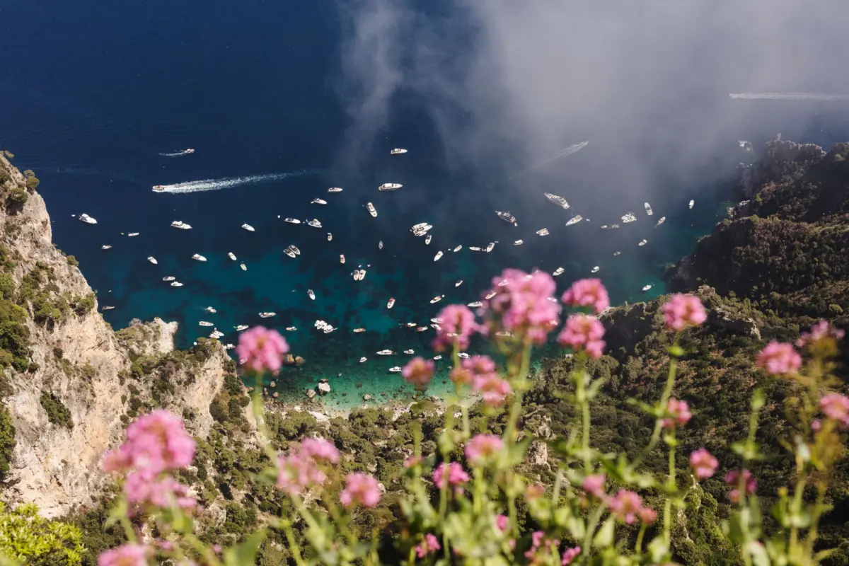 Aerial view of a rocky coastline with dozens of white boats in a turquoise bay; pink foreground flowers and mist over the water.