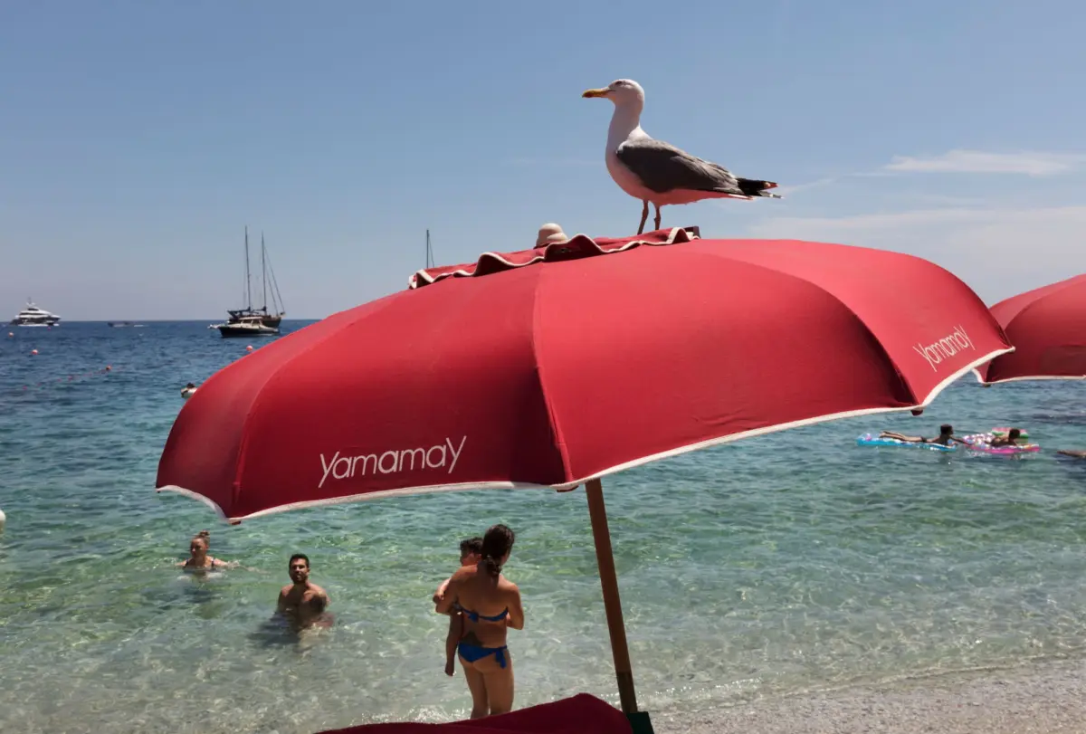 Seagull perched on a red beach umbrella at the shore, with swimmers and boats in the blue sea.