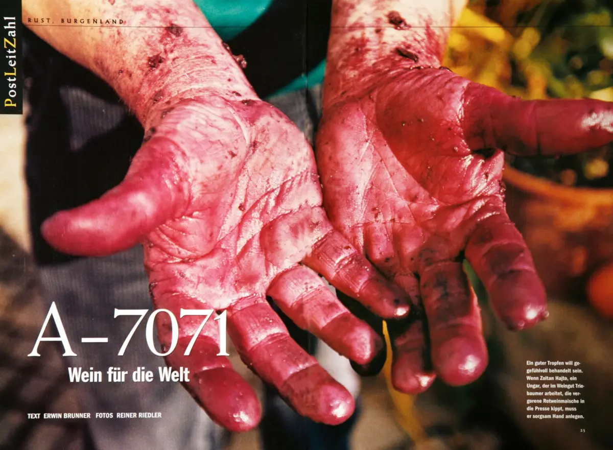 Close-up of blood-stained hands with fingers splayed, on a German magazine page.