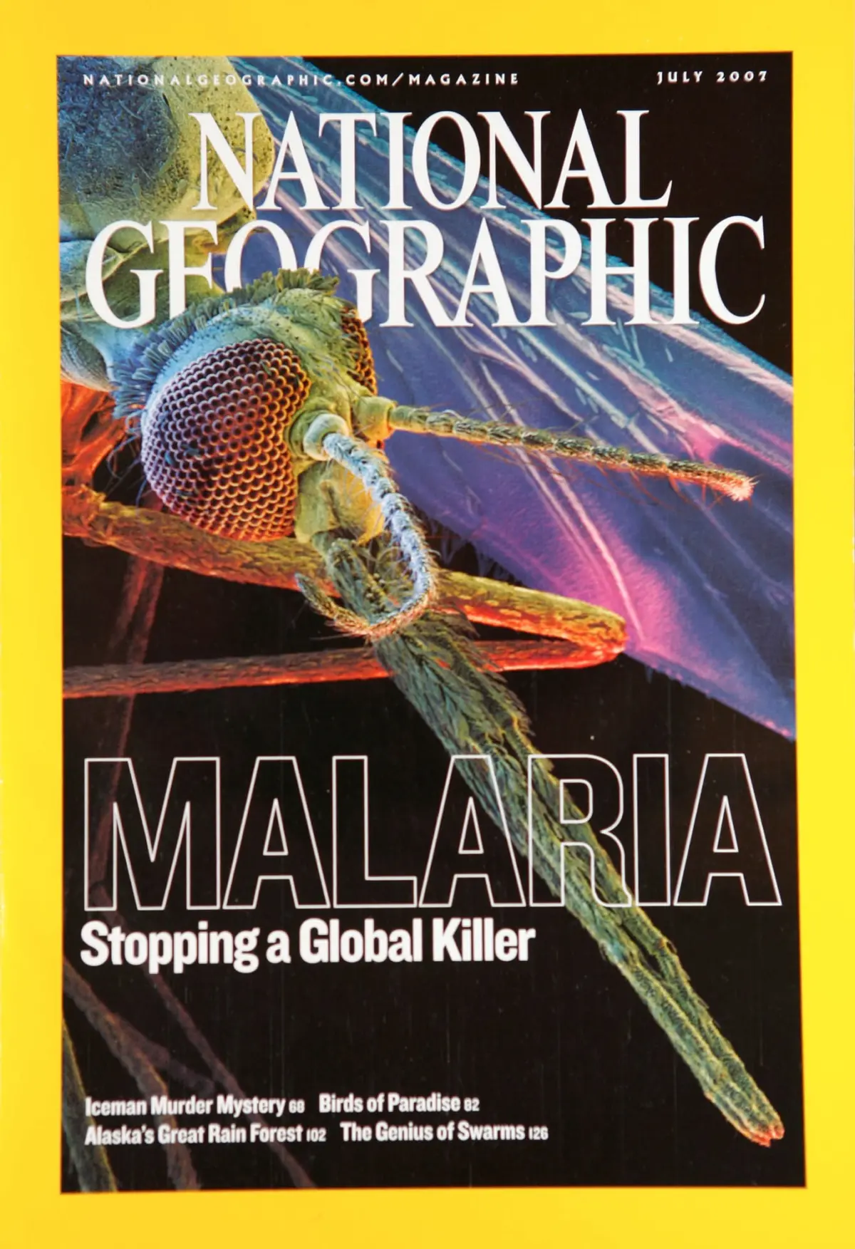 Close-up of a dragonfly head with a large compound eye perched on a twig on a National Geographic magazine cover.