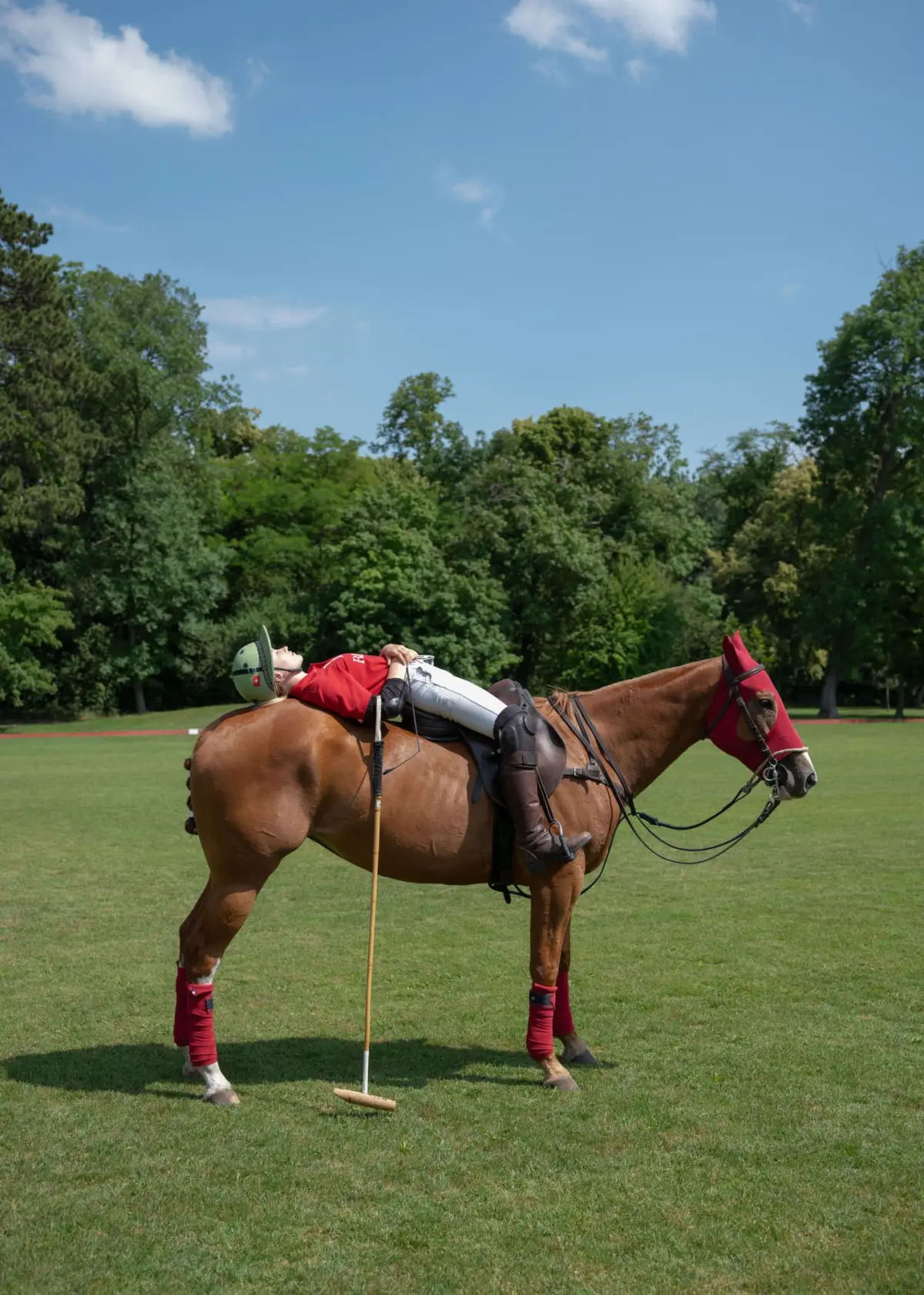 Rider in red shirt lying prone across a chestnut horse on a grassy field; helmeted rider beside under a blue sky with trees.