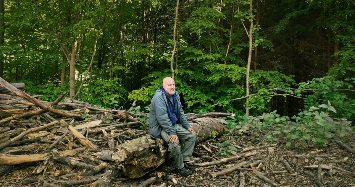 Adult person sits on a pile of fallen logs in dense green forest, wearing gray jacket and pants.