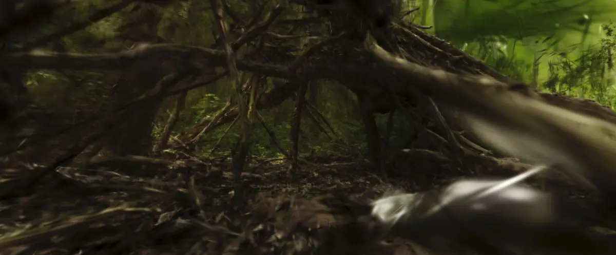 Natural arch of tangled roots from a fallen tree forming a dark tunnel in a mossy forest.
