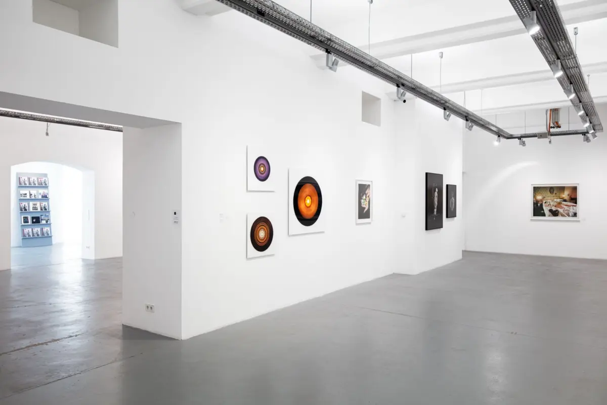 White-walled art gallery interior with overhead track lighting; circular, concentric artworks mounted along the wall.