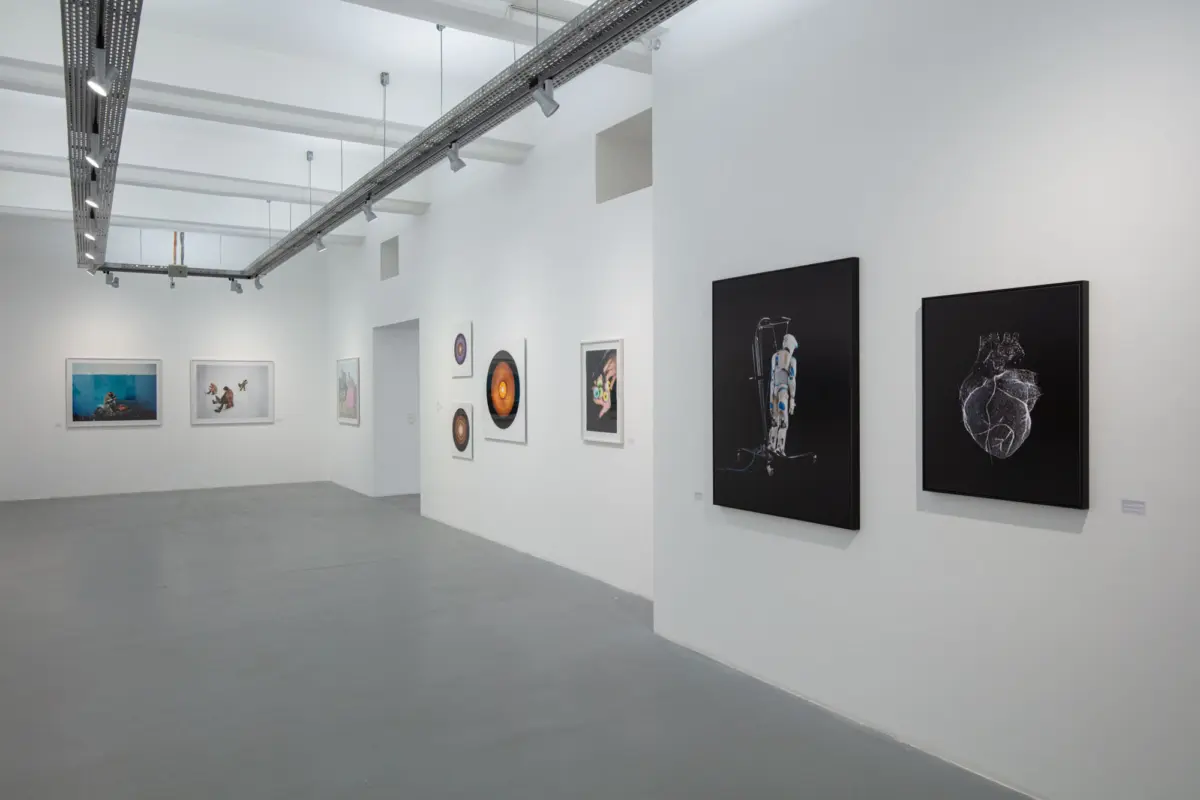 EXHIBITION at Galerie Ostlicht/ Vienna