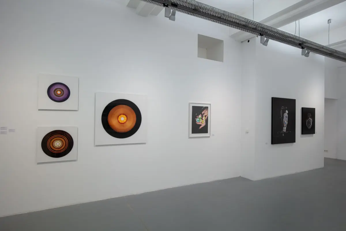 White-walled art gallery with multiple framed circular vinyl-record-style artworks on the left and black-framed pieces on the right.