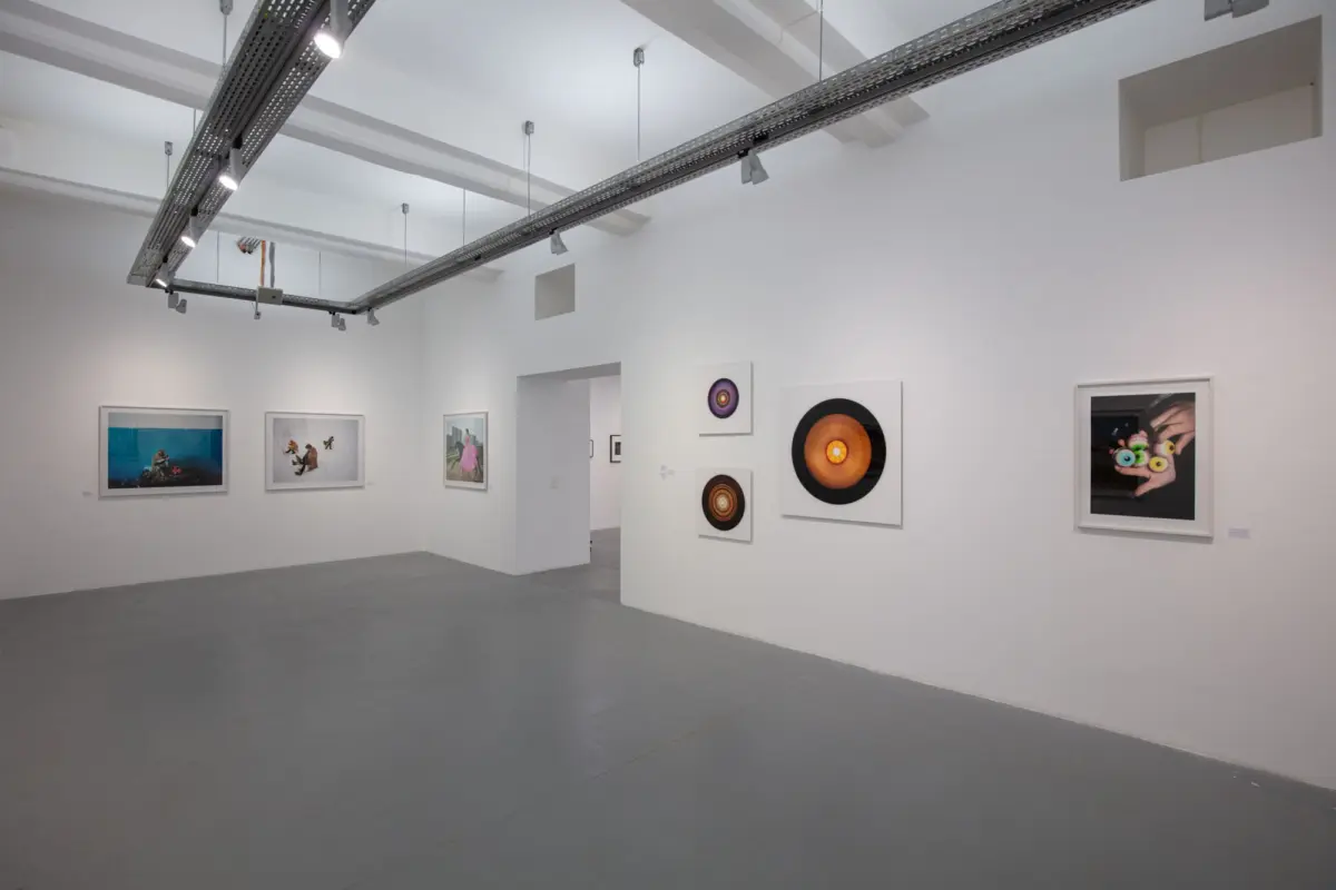 White-walled art gallery interior with framed photographs and circular artworks under track lighting.