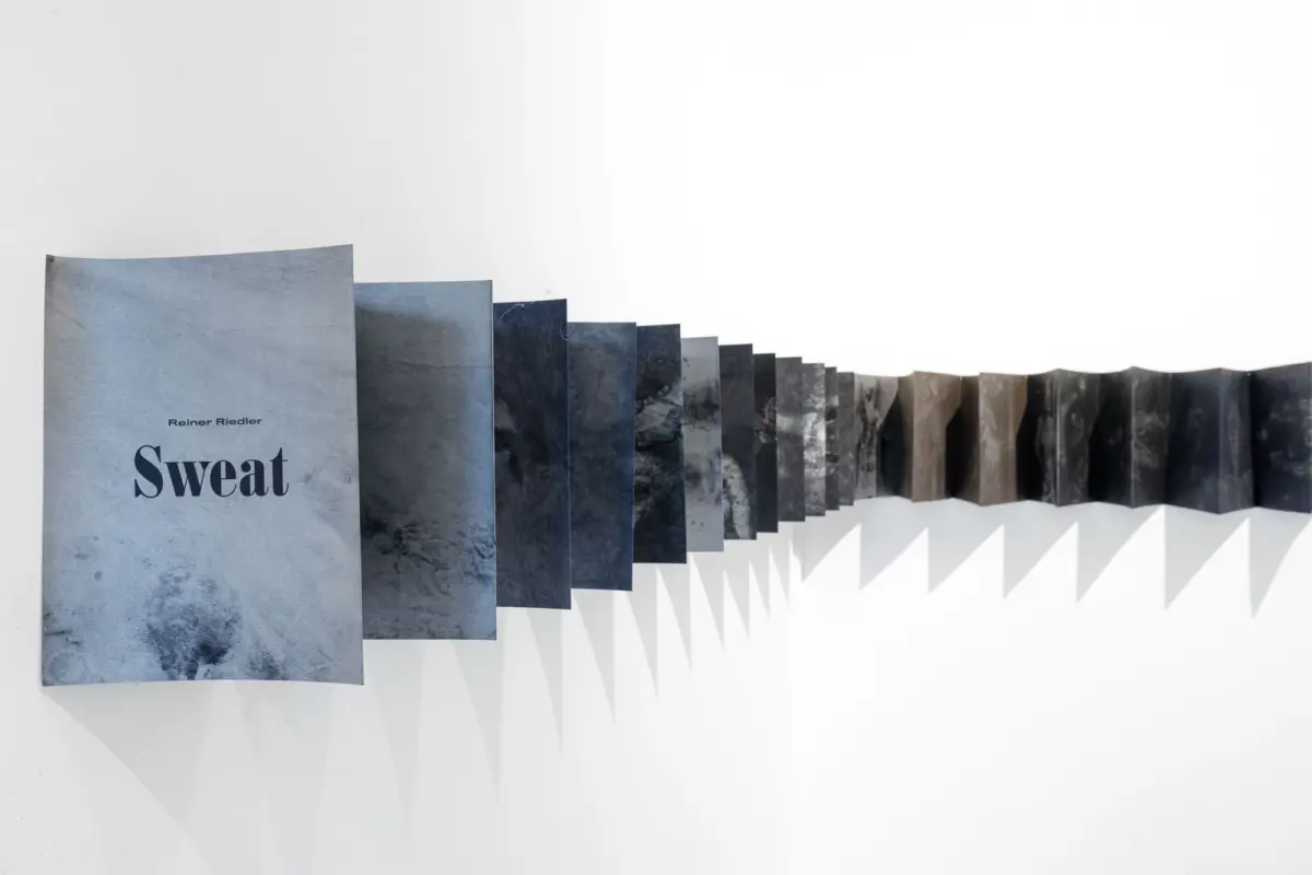 Blue-gray paint swatches fanned along a white wall; front card reads 'Sweat' by Reiner Riedler.