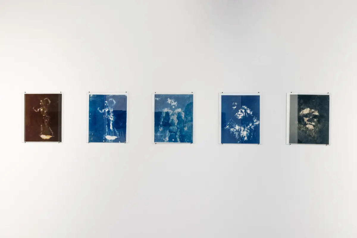 Five framed prints with blue and brown tones hung in a row on a white gallery wall.