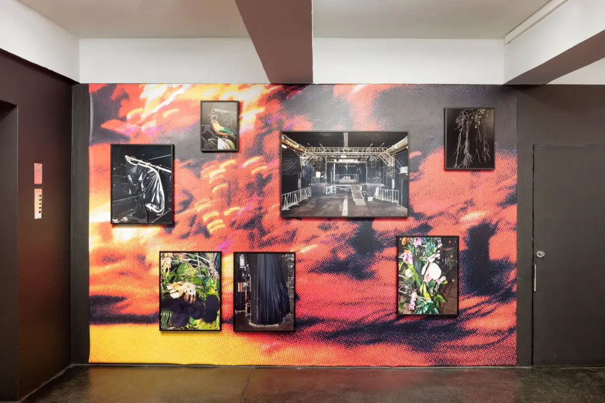Framed photographs hung on a vivid abstract mural in an indoor art gallery.