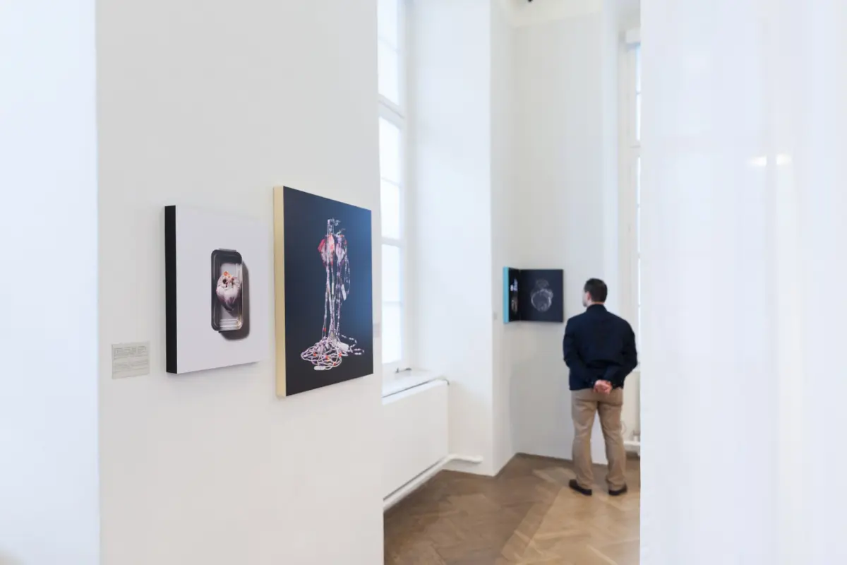 Adult gallery visitor in a dark jacket observes contemporary artworks on white gallery walls.