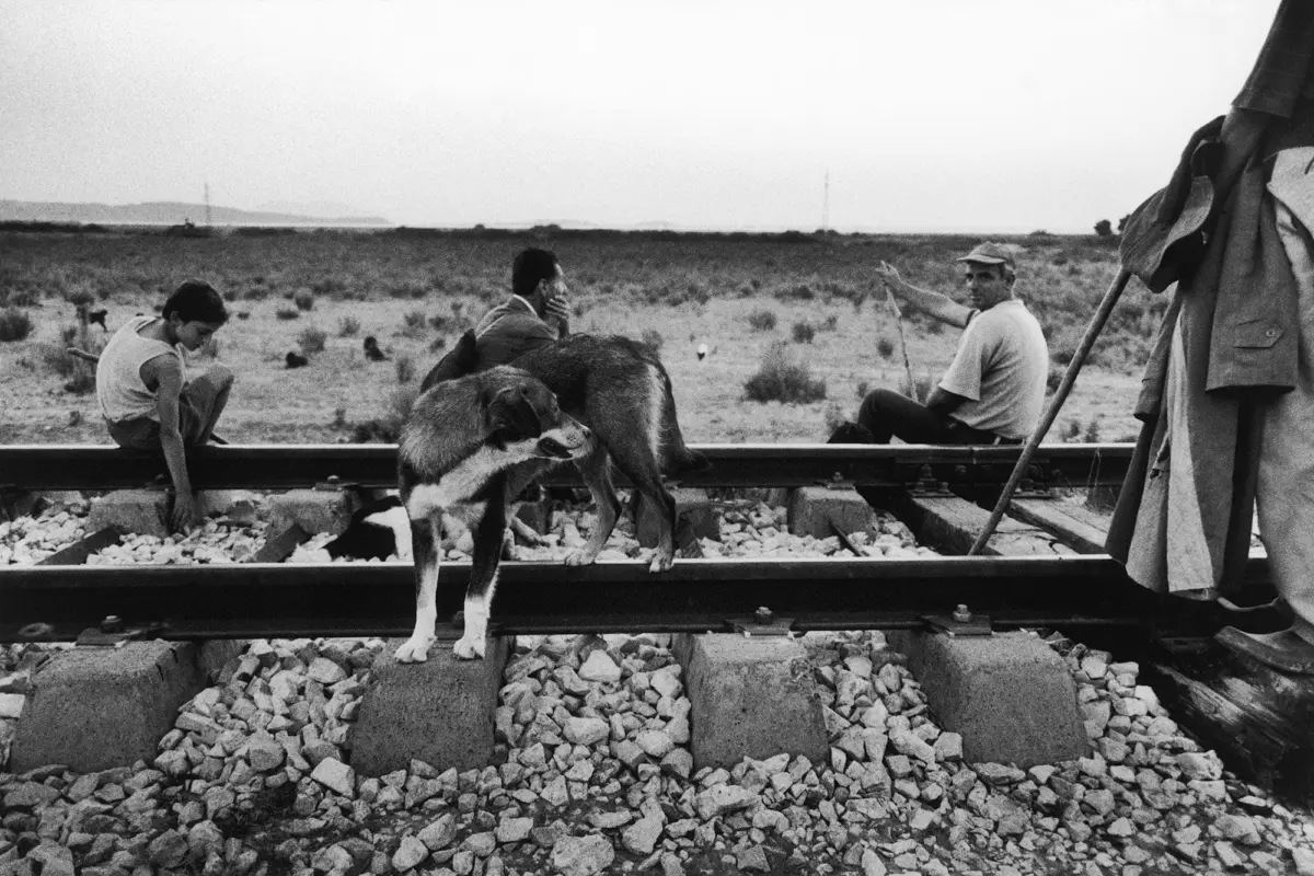 Dog stands on railroad tracks in a desert; a boy sits on the rail to the left and two men watch nearby.
