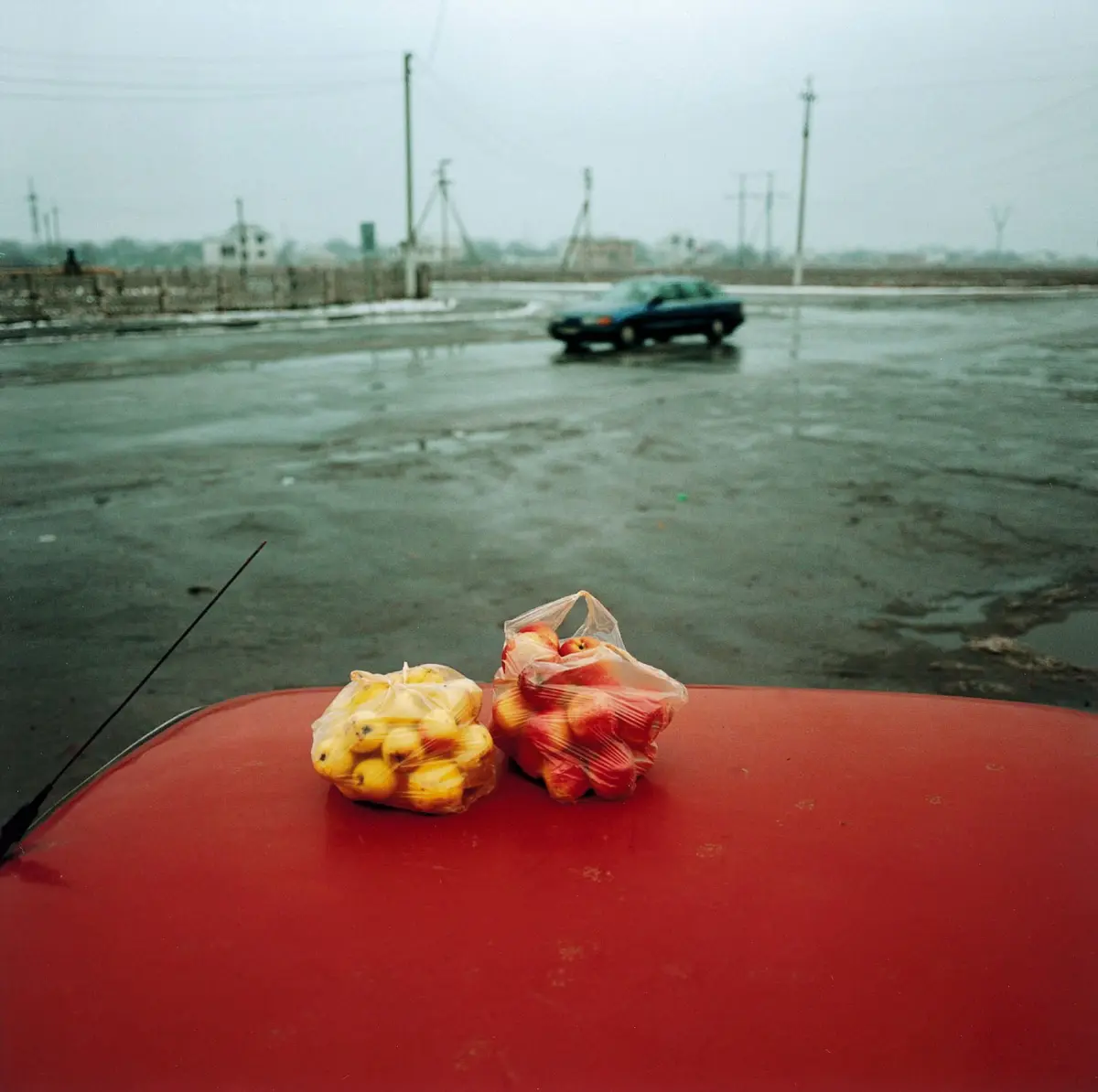 Two plastic bags of fruit rest on a red car hood as a blue sedan drives through a wet, gray, industrial parking lot with power lines.