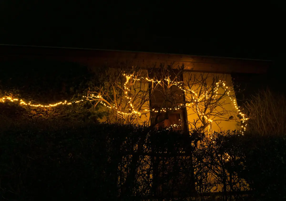 Leafless tree wrapped in warm-white string lights in front of a house at night.