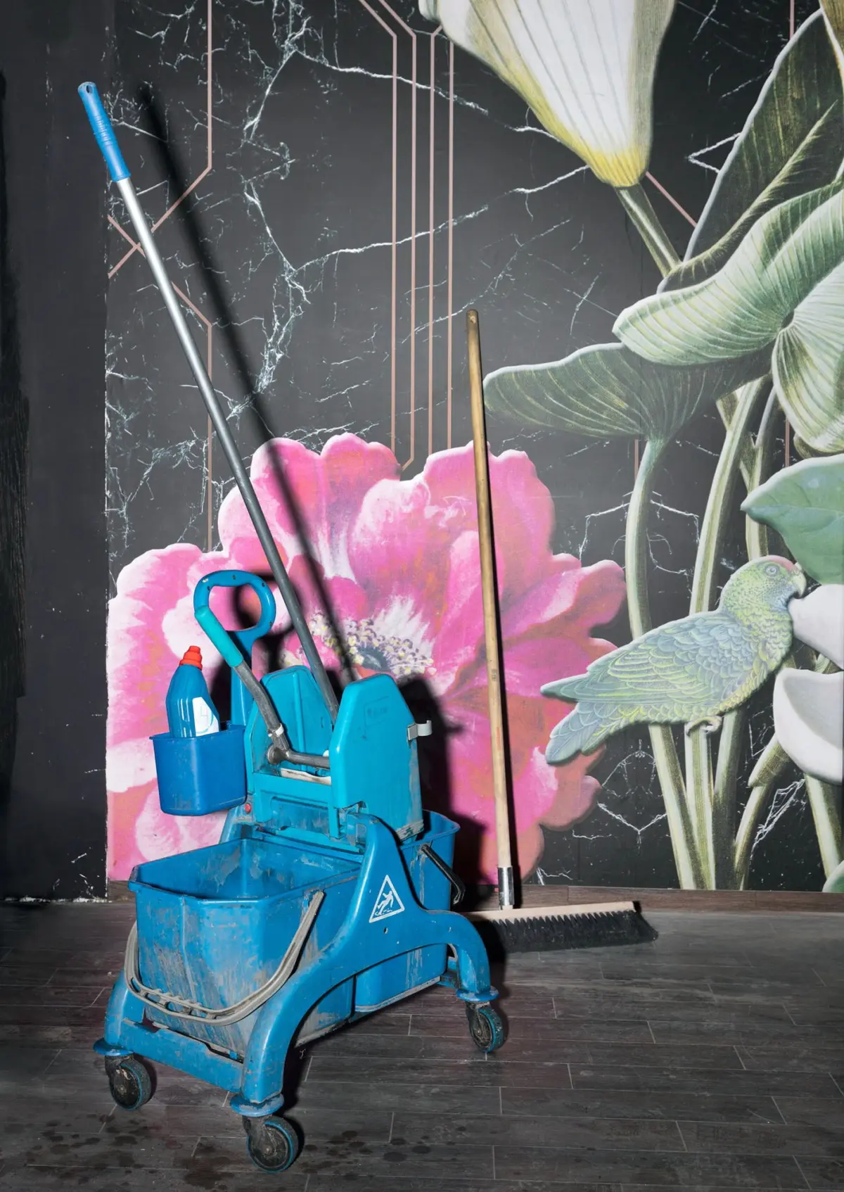 Blue janitorial cart with mop and bucket on wheels, set against a mural wall with a large pink flower and green parrot.