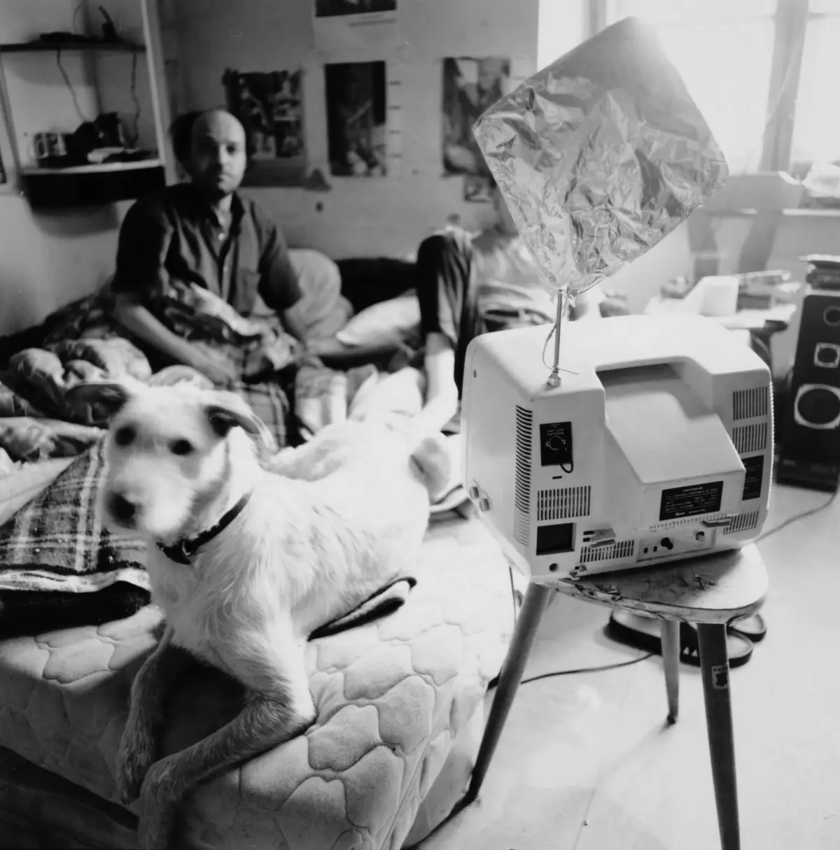 Person seated on a bed in a cluttered room; crumpled foil balloon on a stand near a sewing machine; fluffy dog on a quilt.