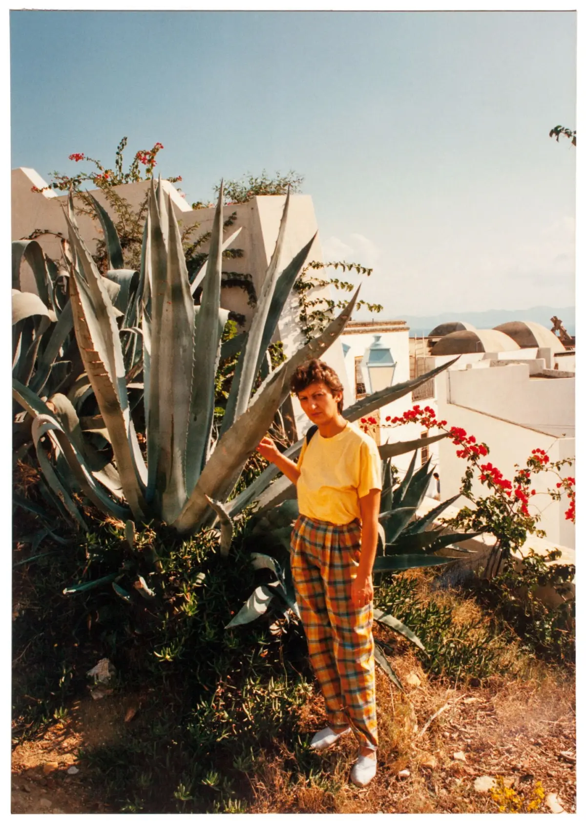 Boy in a yellow shirt and plaid pants stands beside a huge agave plant in a sunlit courtyard with white stucco buildings and red flowers.