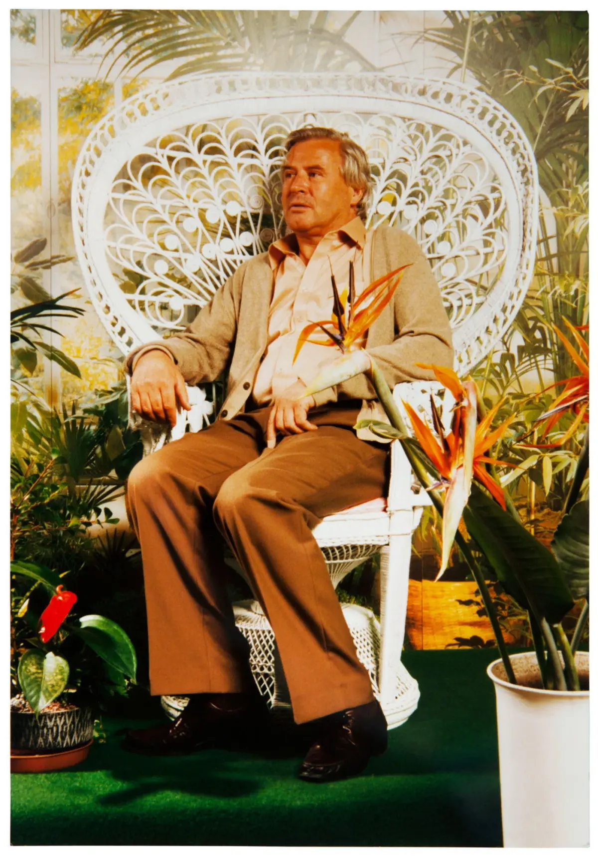 Older man sits in an ornate white wicker chair among tropical plants in a conservatory.