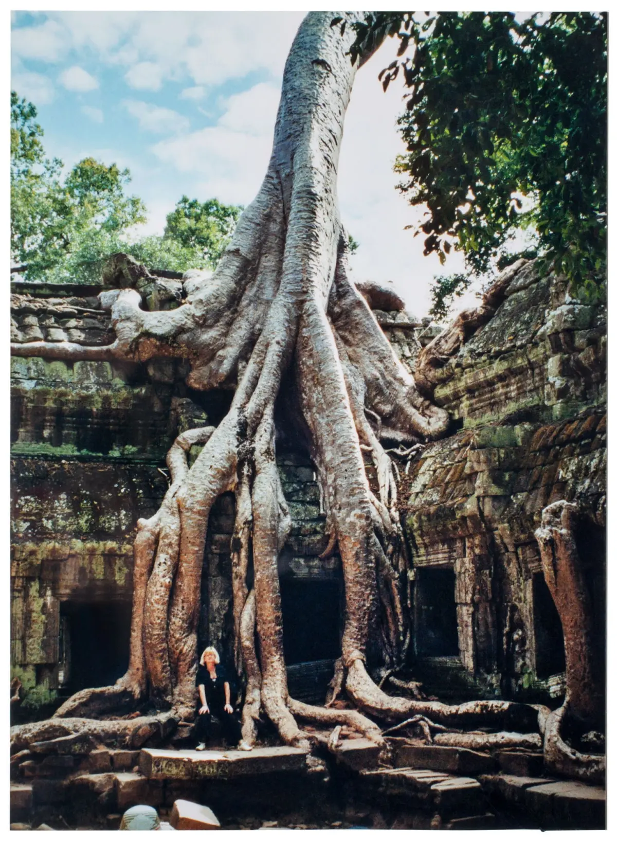 Massive tree with sprawling buttress roots entwines an ancient stone temple; jungle setting with a person for scale.