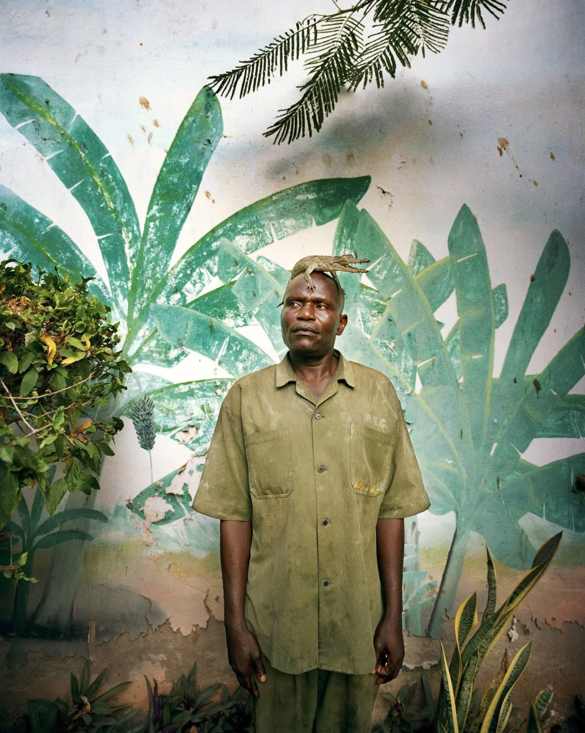 Adult person in olive-green uniform stands before a tropical plant mural; small lizard perched on head.