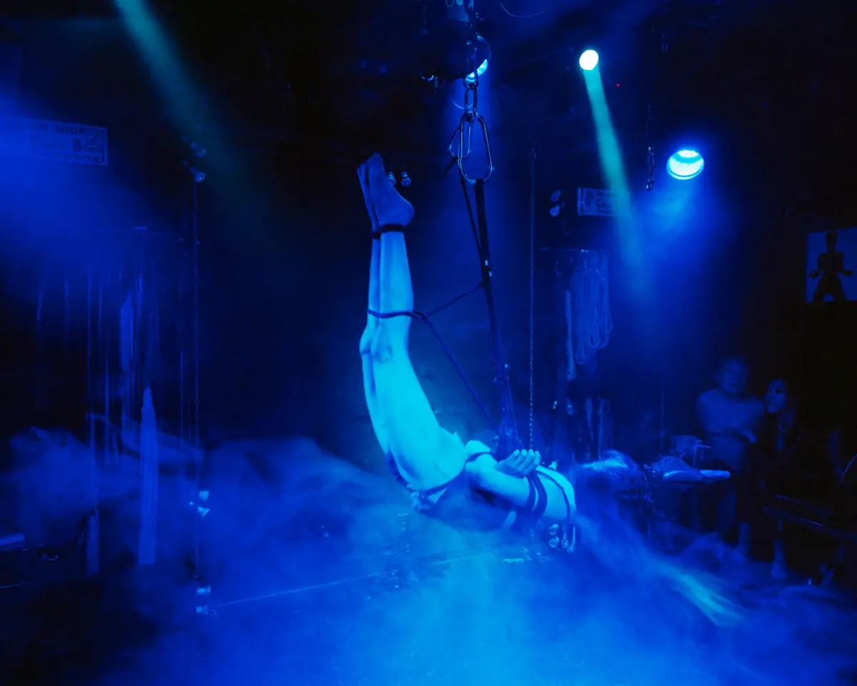 Aerial performer raises arms, gripping hanging rings on a blue-lit stage with fog.